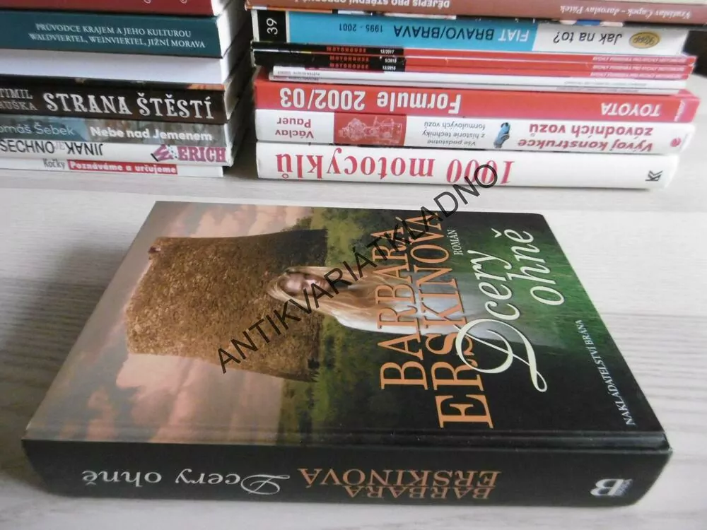 DCERY OHNĚ, BARBARA ERSKINOVÁ, **an