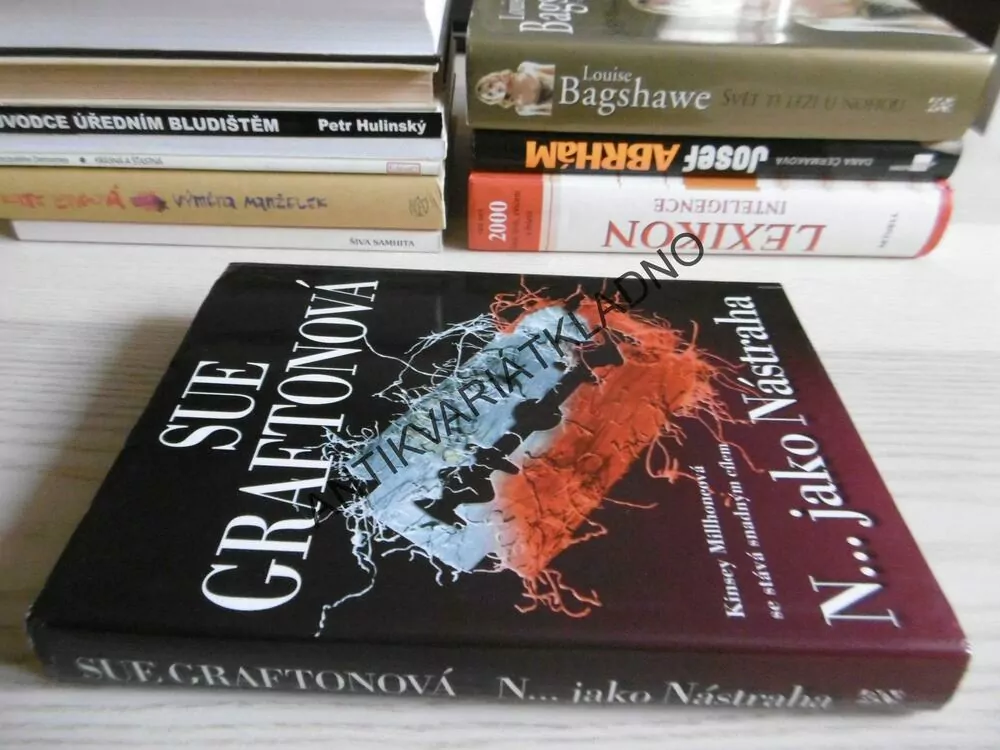 N...JAKO NÁSTRAHA, SUE GRAFTONOVÁ, **an