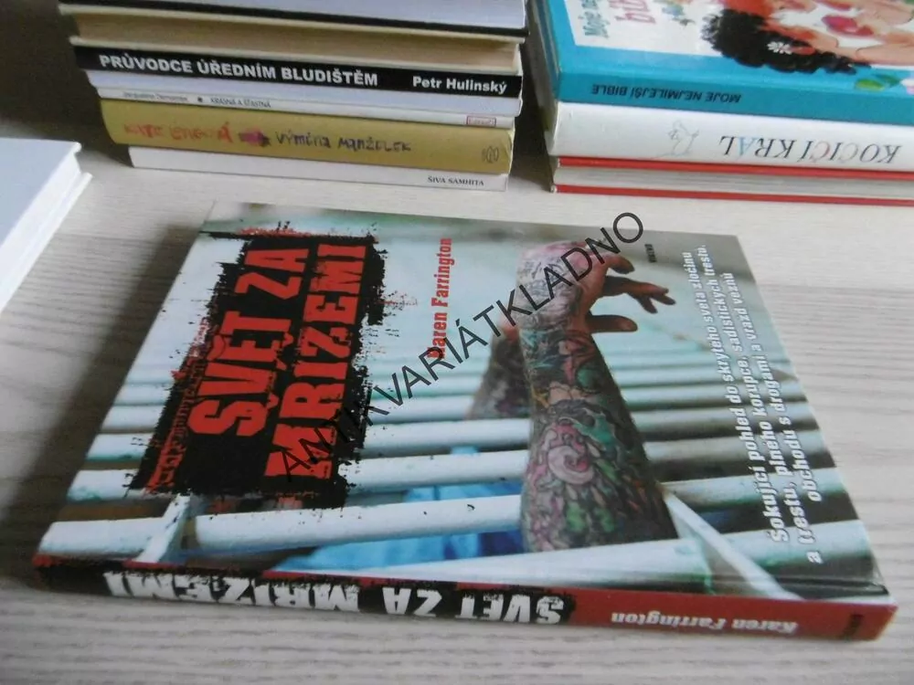 SVĚT ZA MŘÍŽEMI, KAREN FARRINGTON, **an