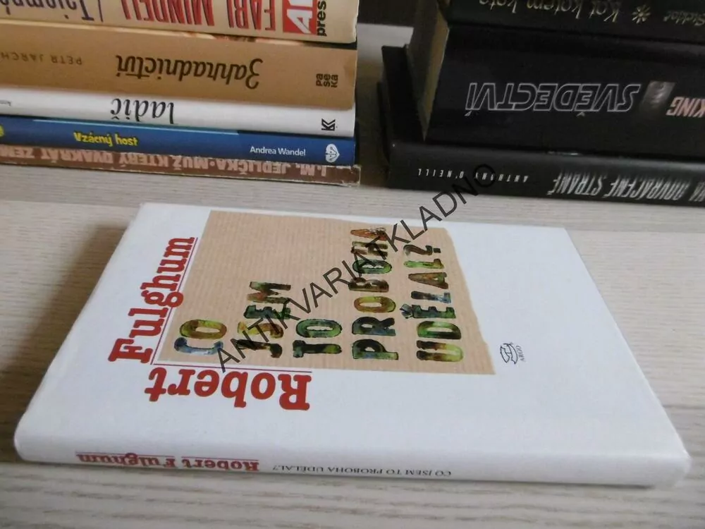 CO JSEM TO PROBOHA UDĚLAL?, ROBERT FULGHUM, **an