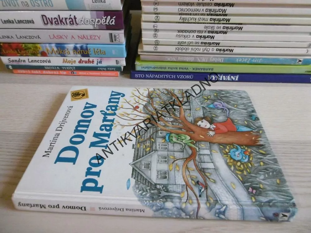 DOMOV PRO MARŤANY, MARTINA DRIJVEROVÁ, **an
