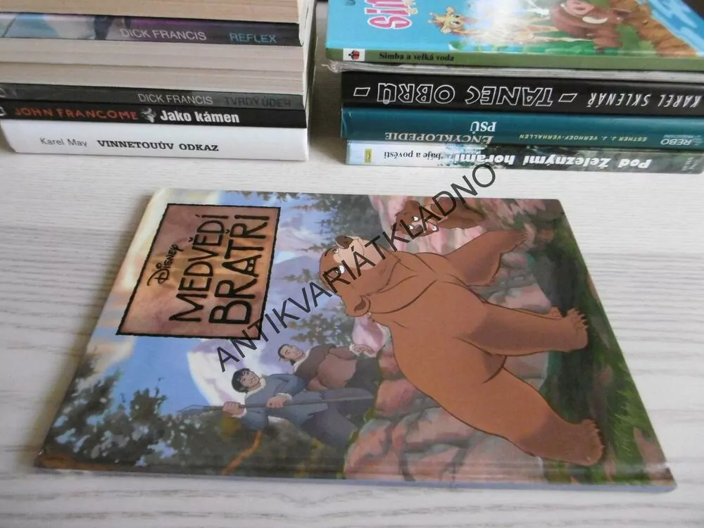 MEDVĚDÍ BRATŘI, DISNEY, **an