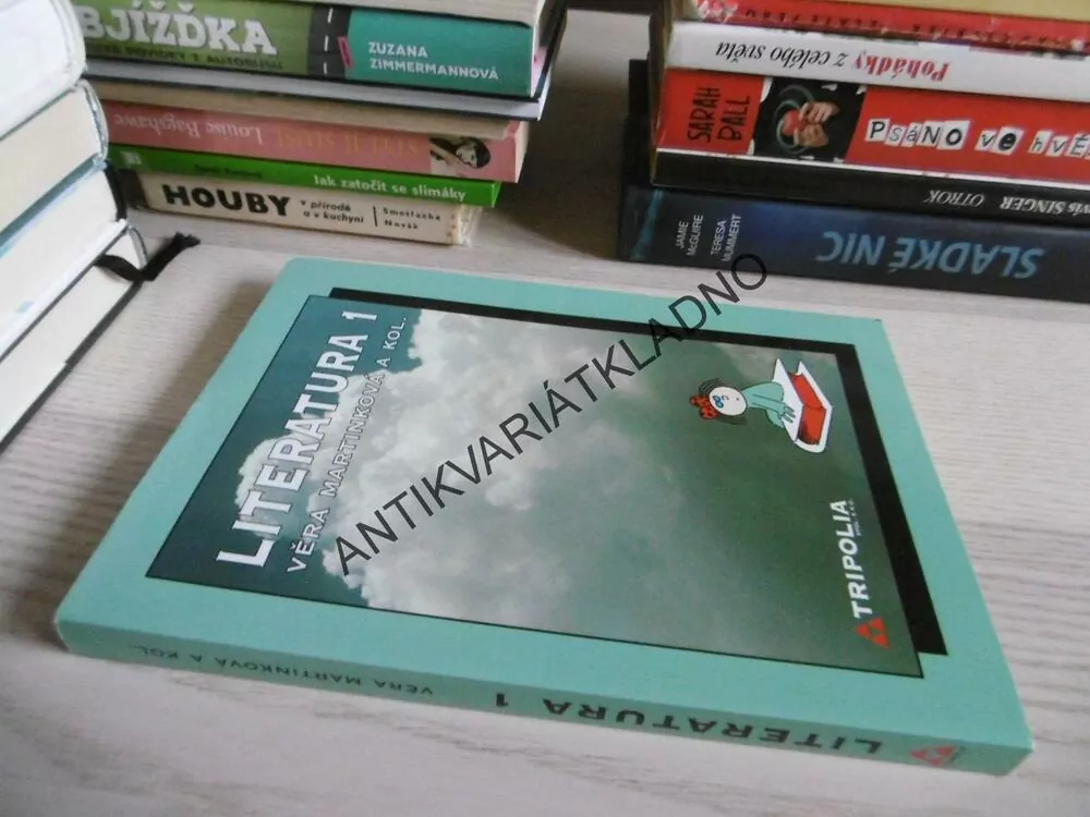 LITERATURA 1, VĚRA MARTINOVÁ, 