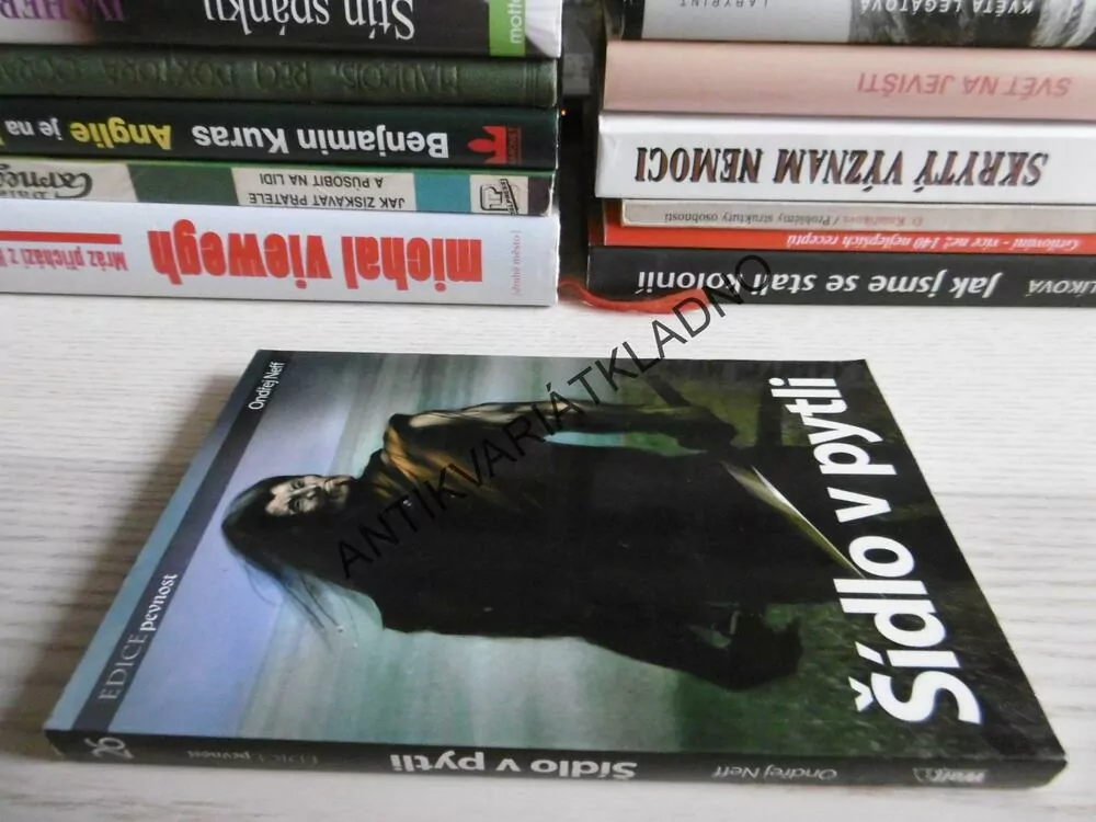 ŠÍDLO V PYTLI, ONDŘEJ NEFF, **an