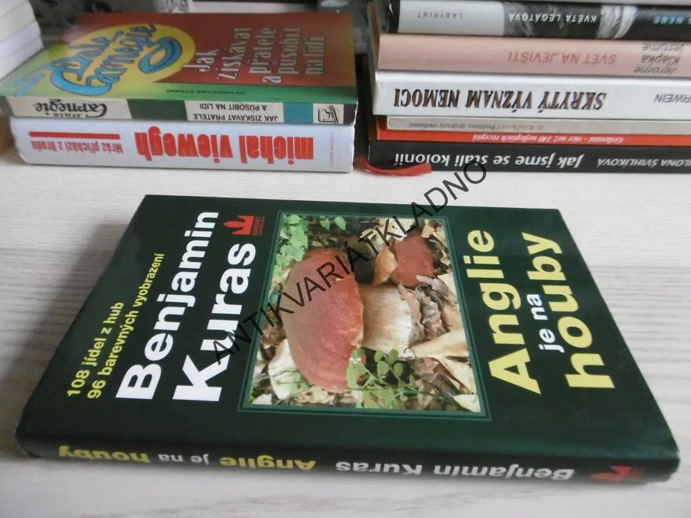 ANGLIE JE NA HOUBY, BENJAMIN KURAS, **an