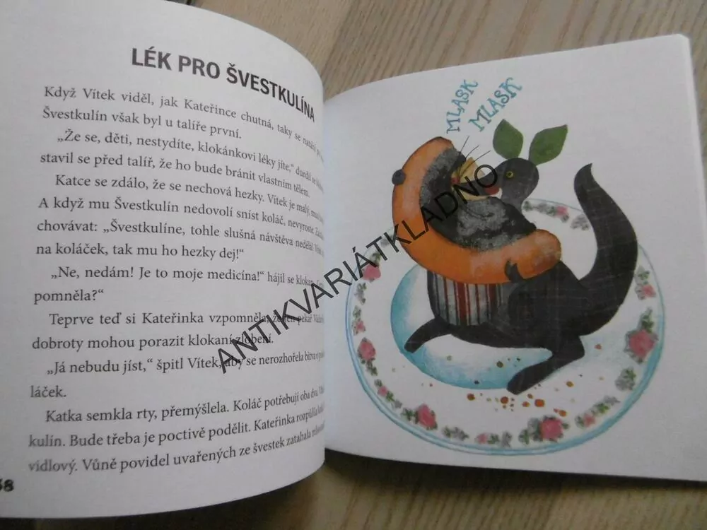 KATKA A KLOKAN ZE ŠUPLÍKU, LENKA ROŽNOVSKÁ, **an