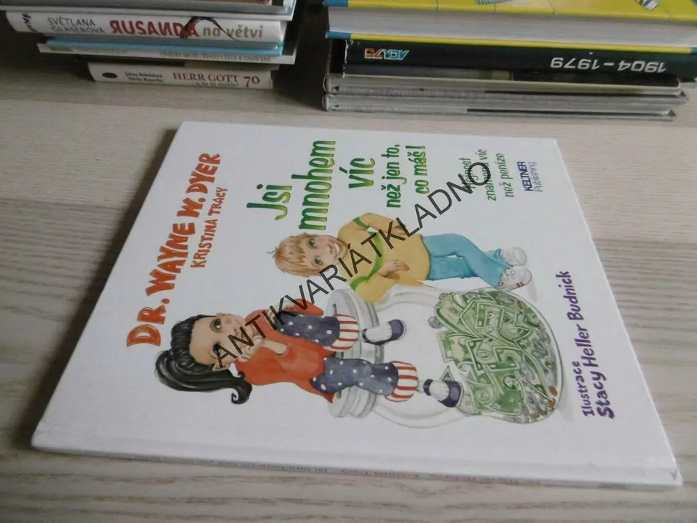 JSI MNOHEM VÍC NEŽ JEN TO CO MÁŠ, DR.WAYNE W.DYER, **an