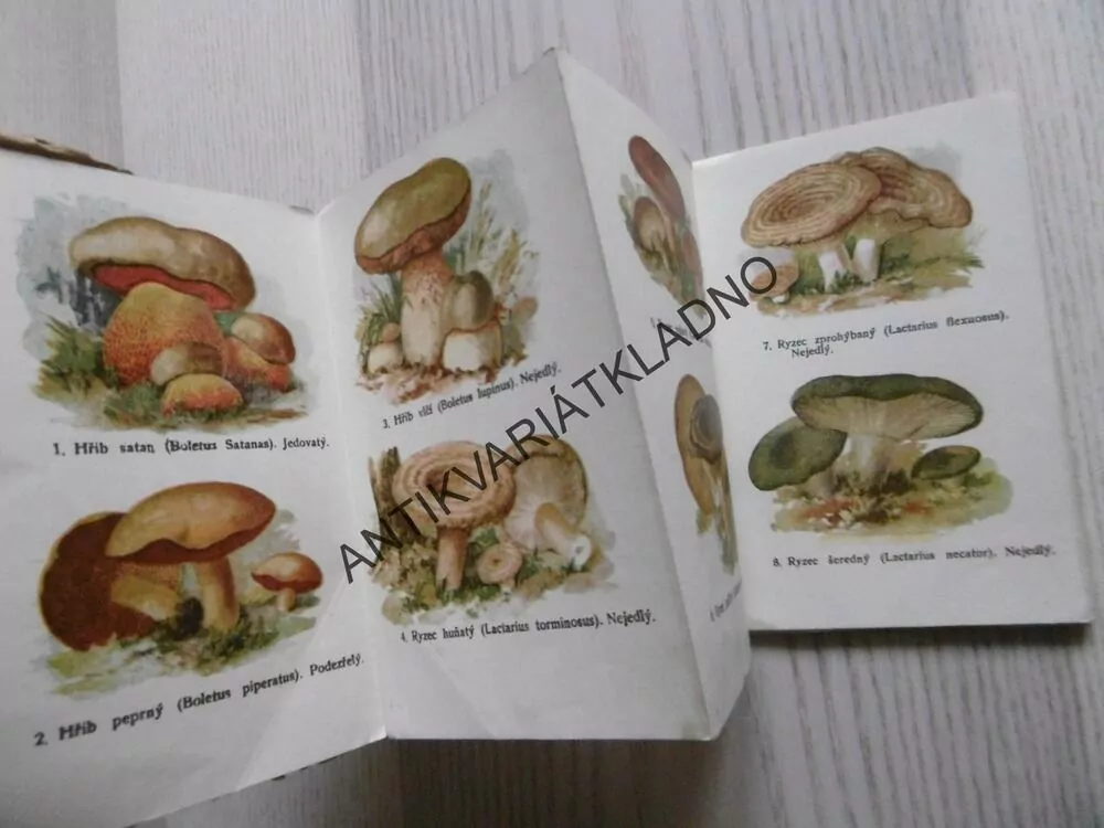 HOUBY, JEDOVATÉ, PODEZŘELÉ A NEJEDLÉ, KAPESNÍ ATLAS,
