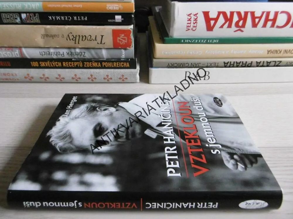 PETR HANIČINEC, VZTEKLOUN S JEMNOU DUŠÍ, JAN HERGET, **an