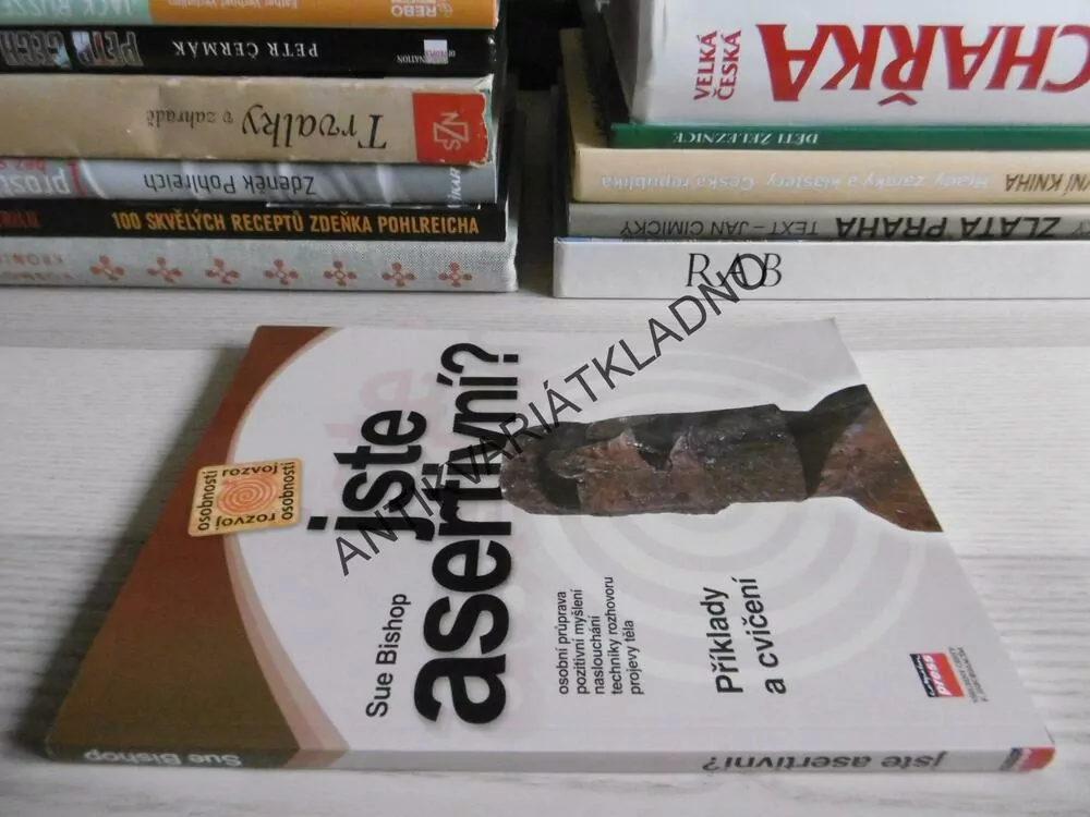 JSTE ASERTIVNÍ? SUE BISHOP, **an