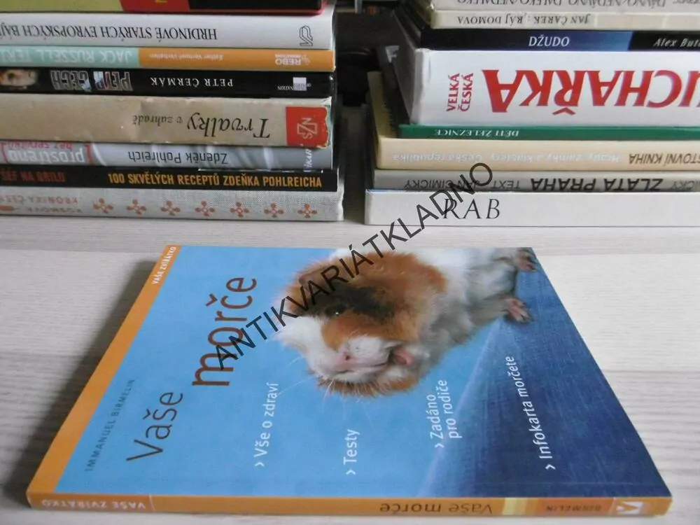 VAŠE MORČE, VAŠE ZVÍŘÁTKO, IMMANUEL BIRMELIN, CHOV, KRMENÍ, VÝCHOVA,**an