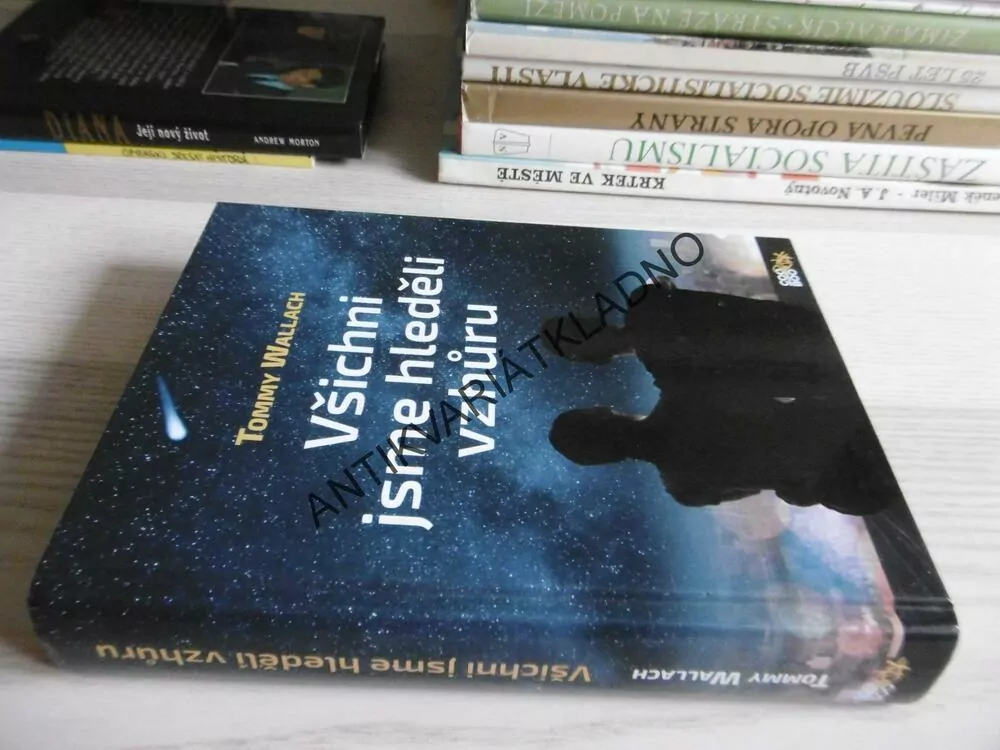 VŠICHNI JSME HLEDĚLI VZHŮRU, TOMMY WALLACH, **an