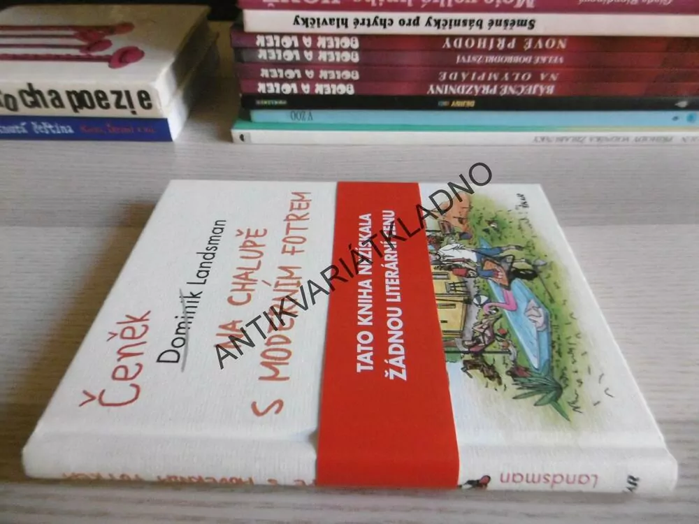 NA CHALUPĚ S MODERNÍM FOTREM, LANDSMAN, **an