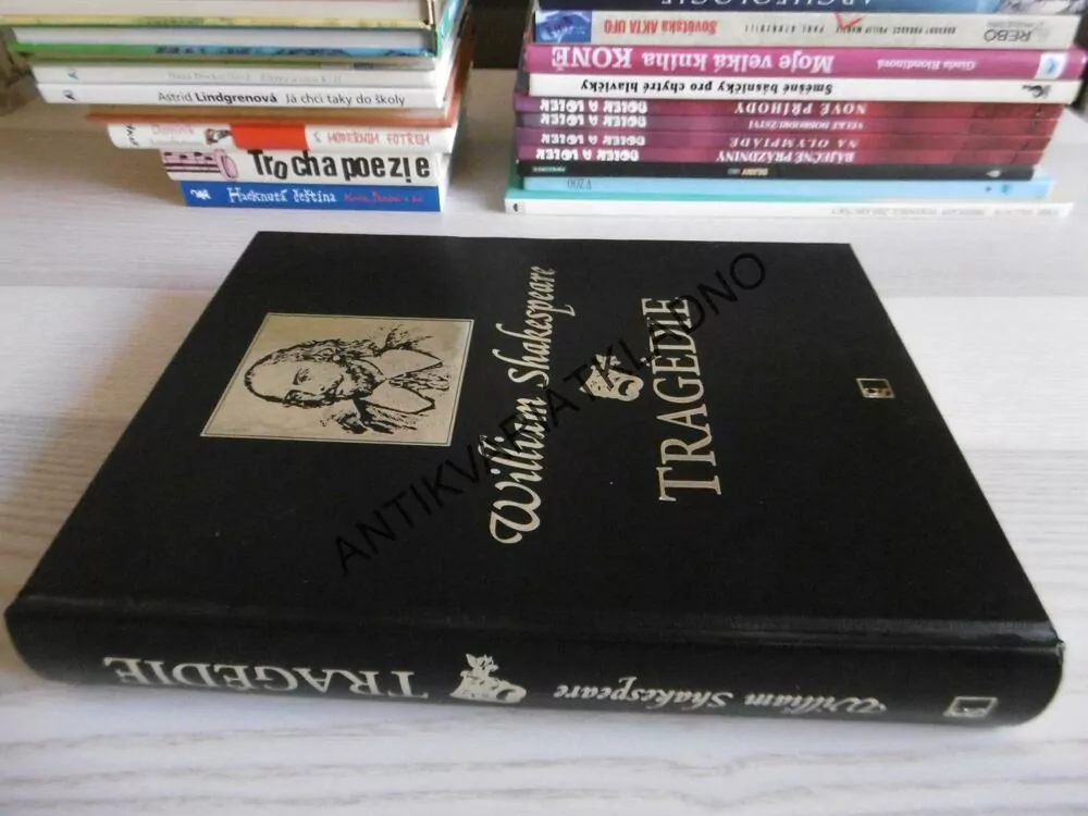TRAGÉDIE, WILLIAM SHAKESPEARE, 2012, ROMEO A JULIE, **an