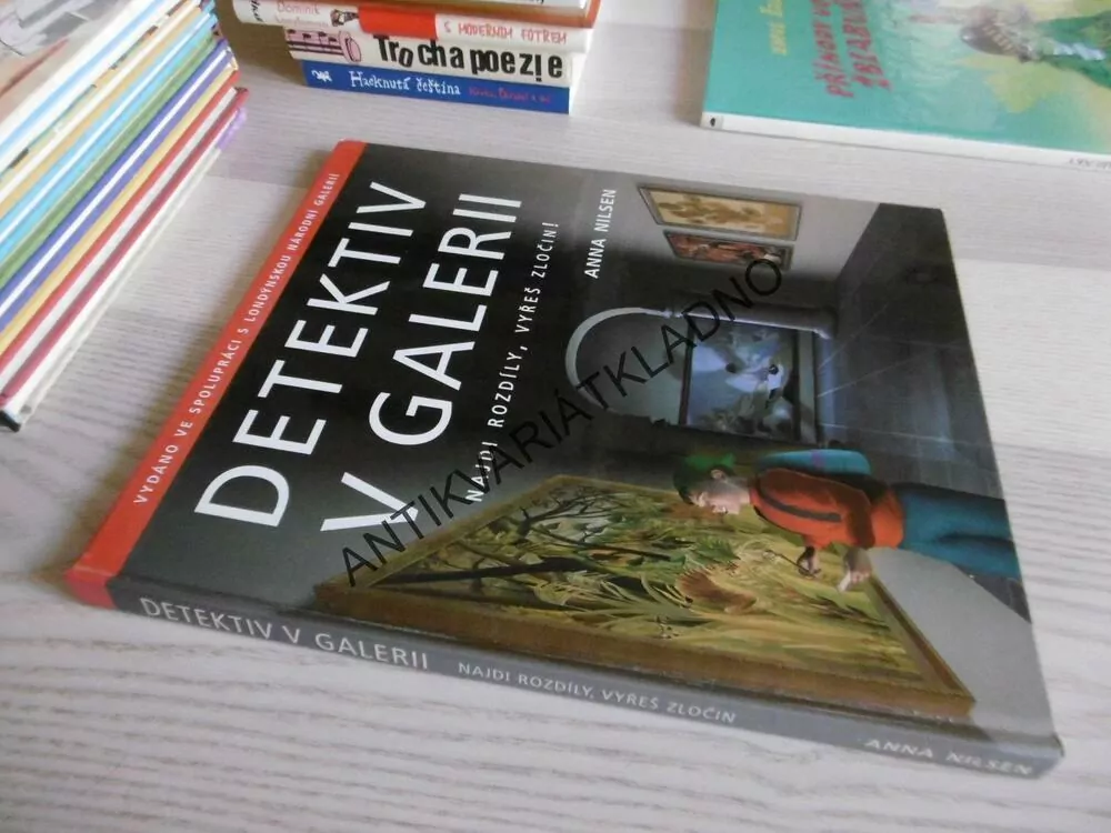 DETEKTIV V GALERII, ANNA NILSEN, **an