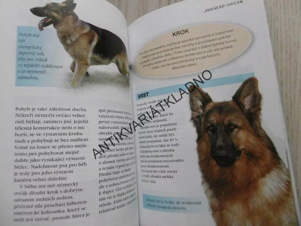 NĚMECKÝ OVČÁK, PES, CHOVATEL, MALCOLM WILLIS, PÉČE A VÝCVIK,, **an