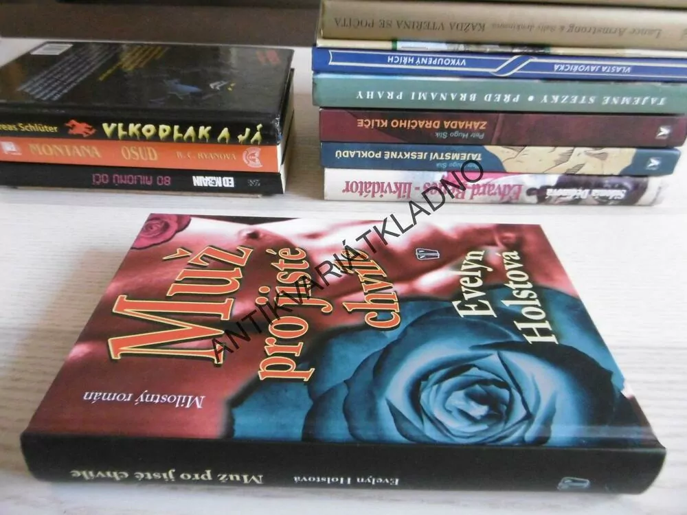 MUŽ PRO JISTÉ CHVÍLE, EVELYN HOLSTOVÁ, **an