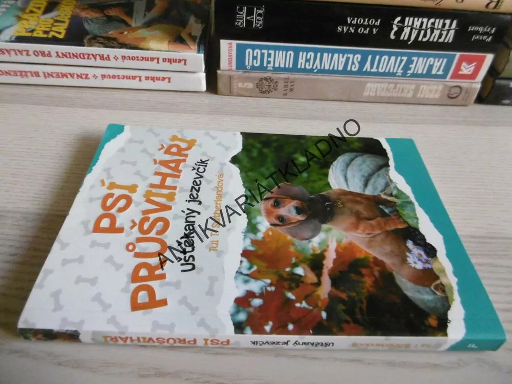 PSÍ PRŮŠVIHÁŘI, UŠTĚKANÝ JEZEVČÍK, TUI T. SUTHERLANDOVÁ, **an