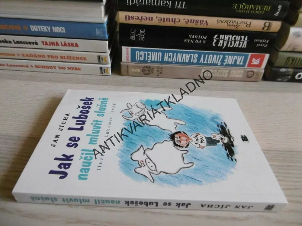 JAK SE LUBOŠEK NAUČIL MLUVIT SLUŠNĚ, JAN JÍCHA, **an