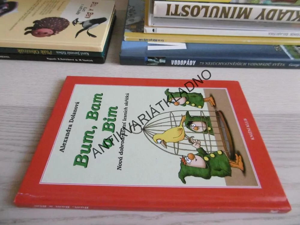 BUM, BAM A BIM, ALEXANDRA DOLANOVÁ, **an