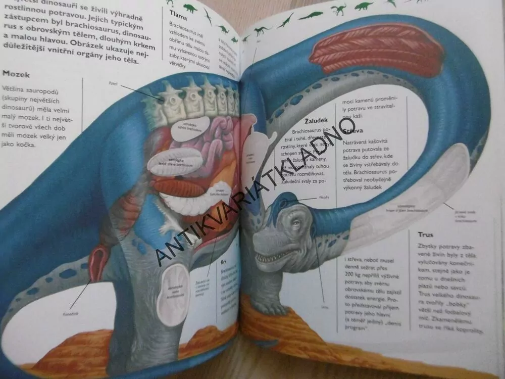DINOSAUŘI, KNÍŽKA SE SAMOLEPKAMI,  **an