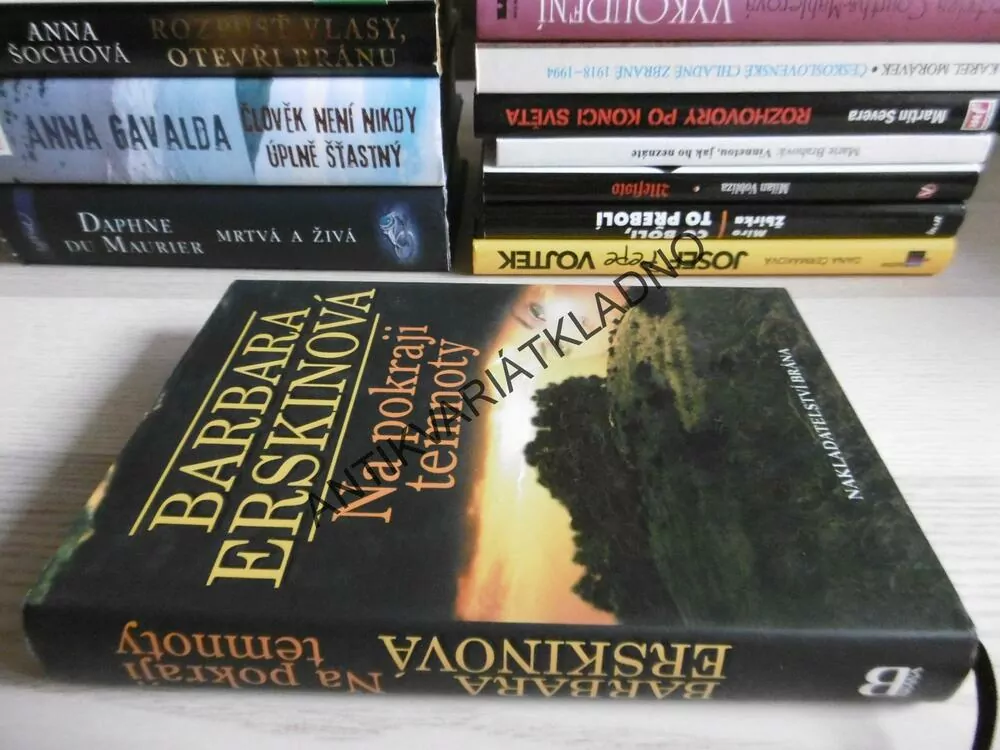 NA POKRAJI TEMNOTY, BARBARA ERSKINOVÁ, **an