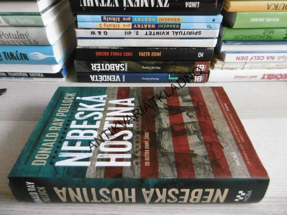 NEBESKÁ HOSTINA, DONALD RAY POLLOCK, **an