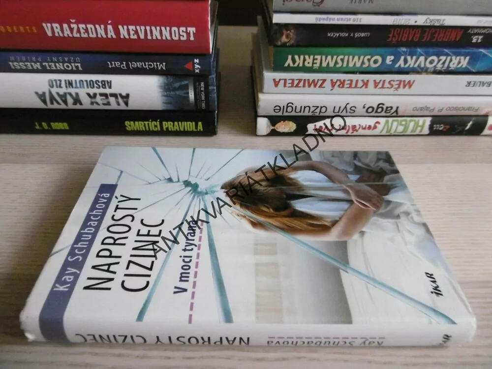 NAPROSTÝ CIZINEC, V MOCI TYRANA, KAY SCHUBACHOVÁ, **an