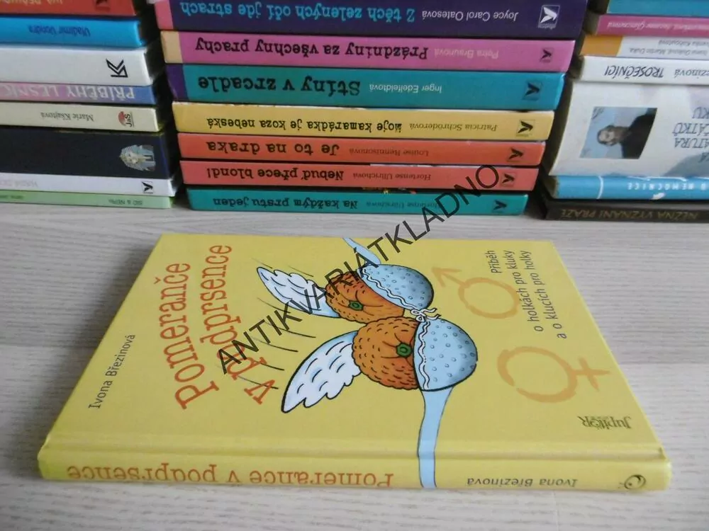 POMERANČE V PODRPSENCE, IVONA BŘEZINOVÁ, **an