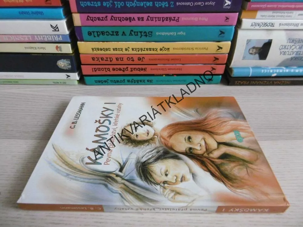 KÁMOŠKY I., PEVNÁ PŘÁTELSTVÍ, KŘEHKÉ VZTAHY, C. B. LESSMANN, **an