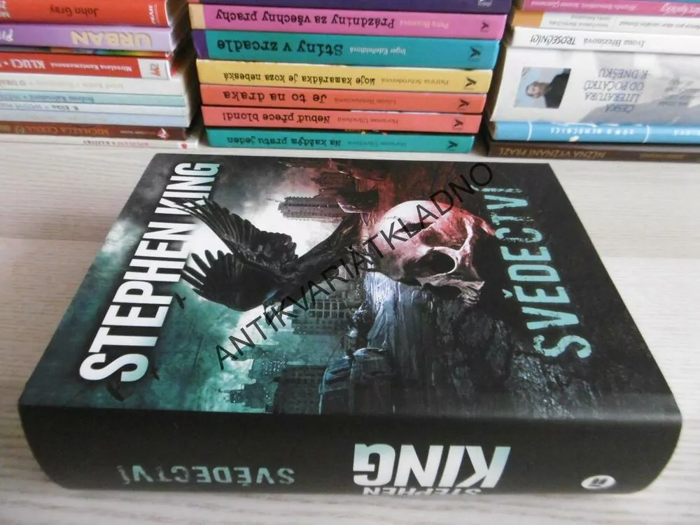 SVĚDECTVÍ, STEPHEN KING, **an