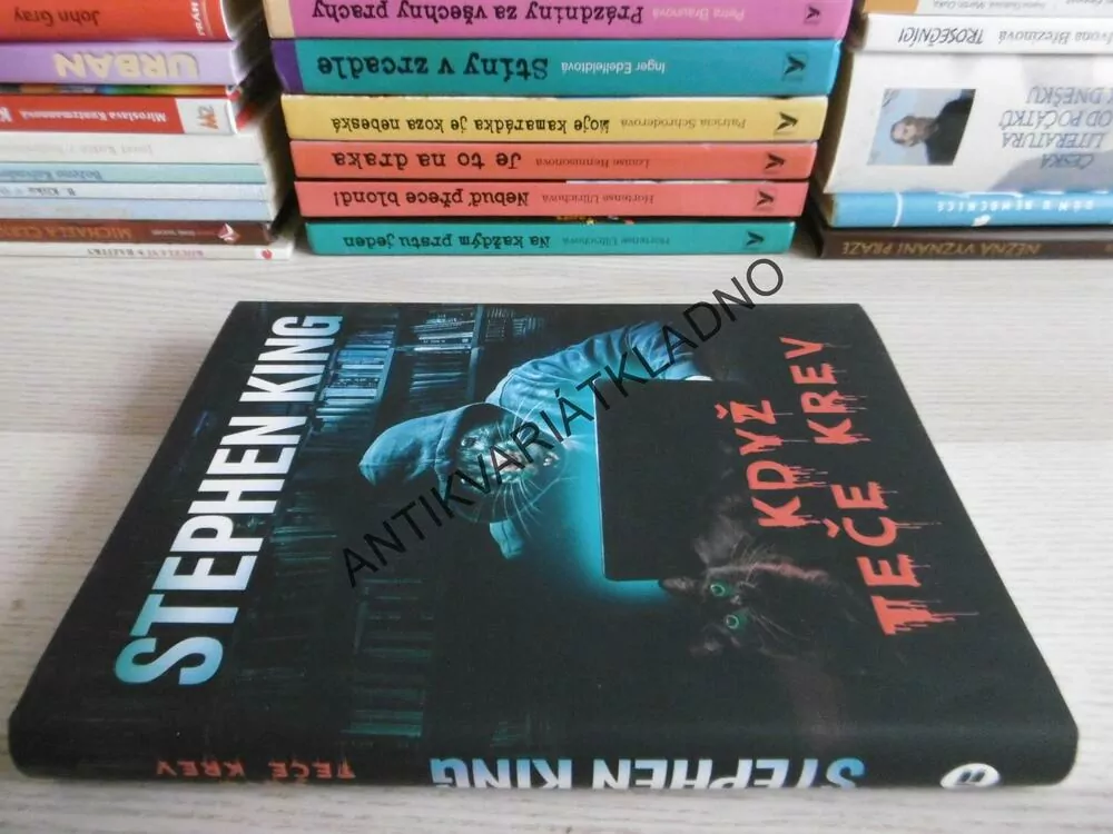 KDYŽ TEČE KREV, STEPHEN KING, **an
