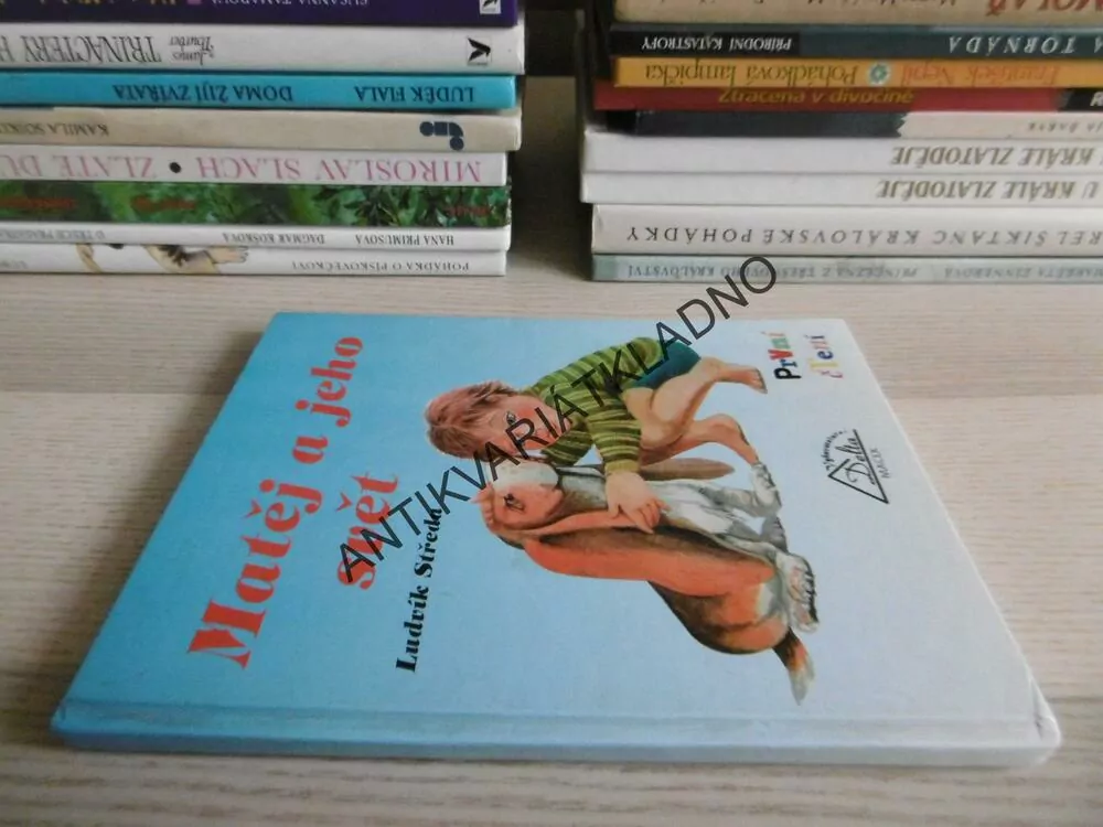 MATĚJ A JEHO SVĚT, LUDVÍK STŘEDA, **an