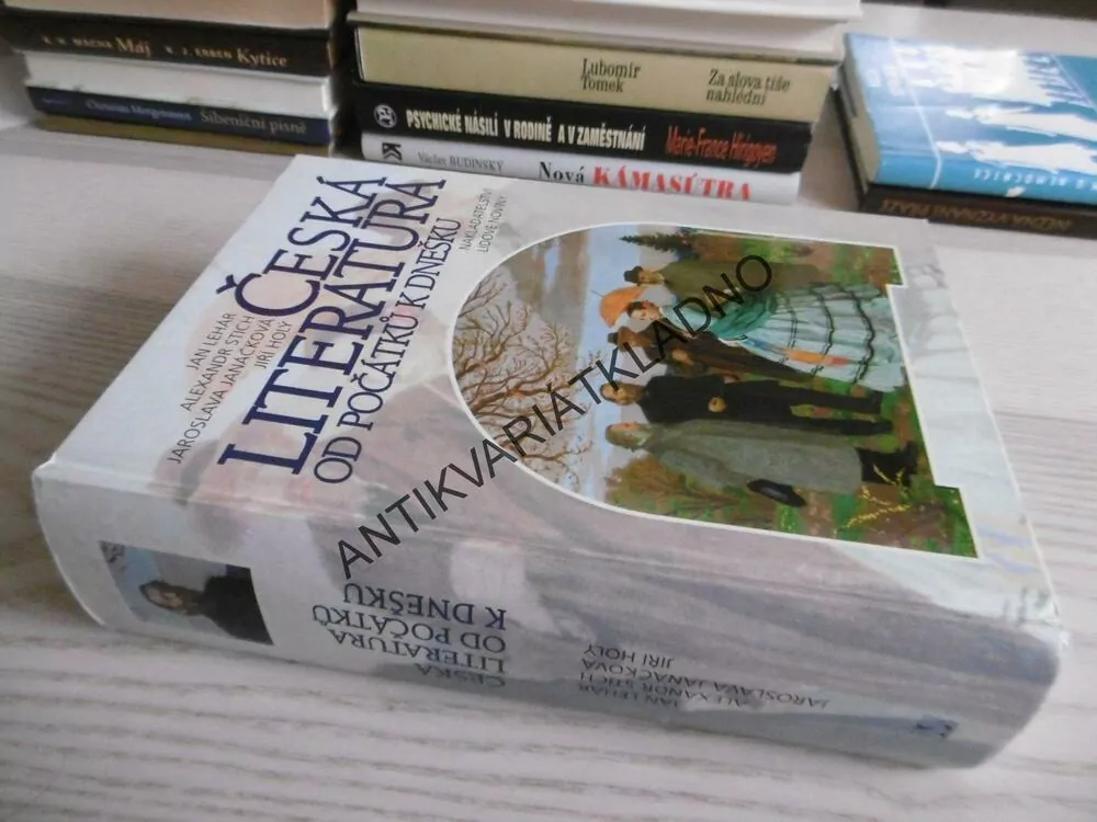ČESKÁ LITERATURA OD POČÁTKŮ K DNEŠKU, JAN LEHÁR, ALEXANDR STICH, JAROSLAVA JANÁČKOVÁ, JIŘÍ HOLÝ, **an
