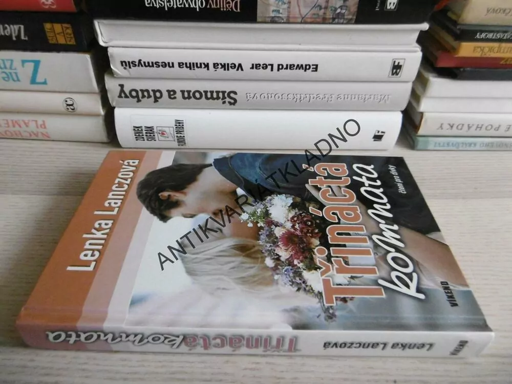 TŘINÁCTÁ KOMNATA, LENKA LANCZOVÁ, **an