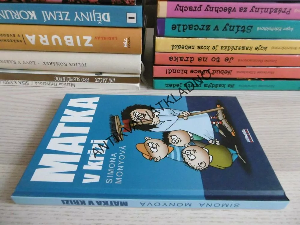 MATKA V KRIZI, SIMONA MONYOVÁ, **an