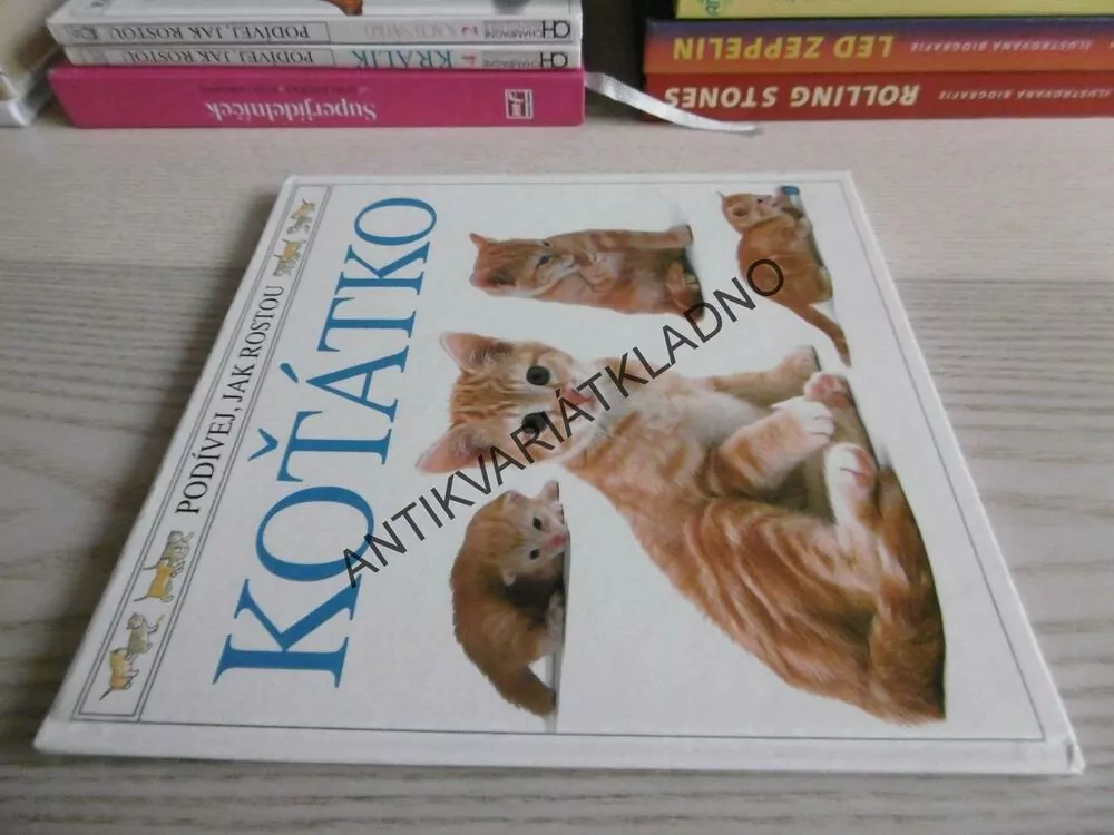 KOŤÁTKO, **an