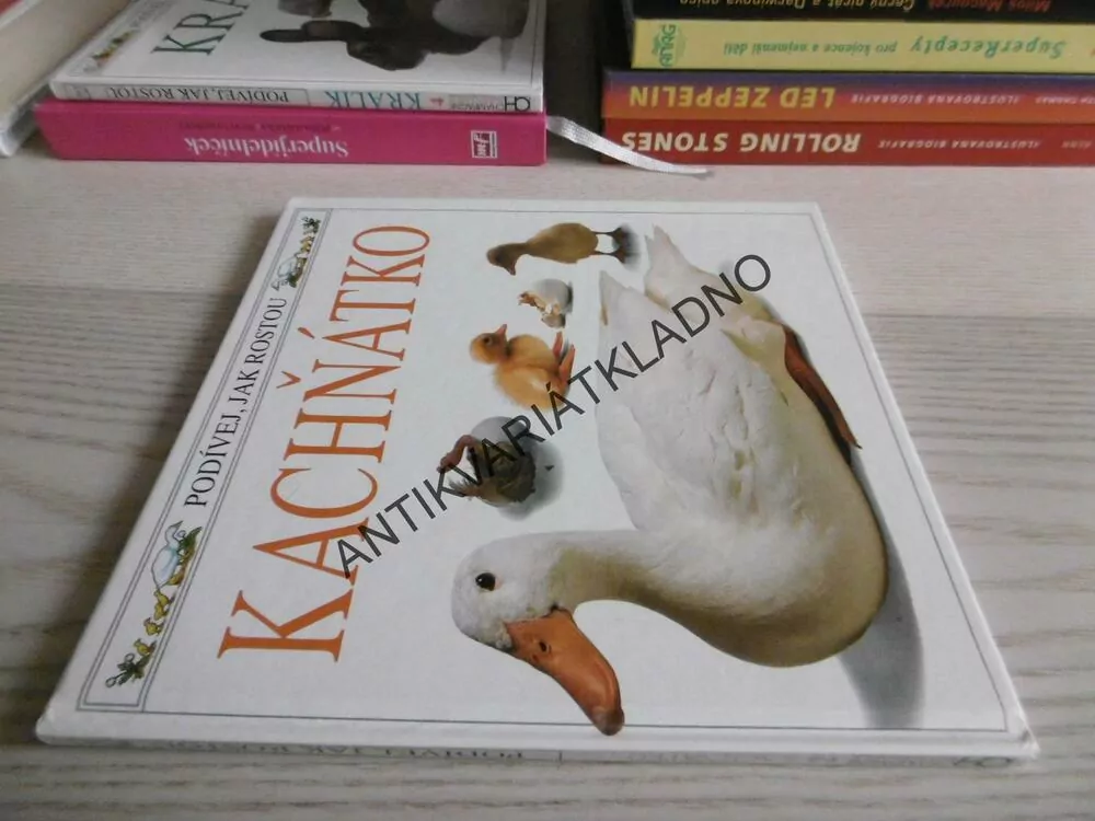 KACHŇÁTKO, **an