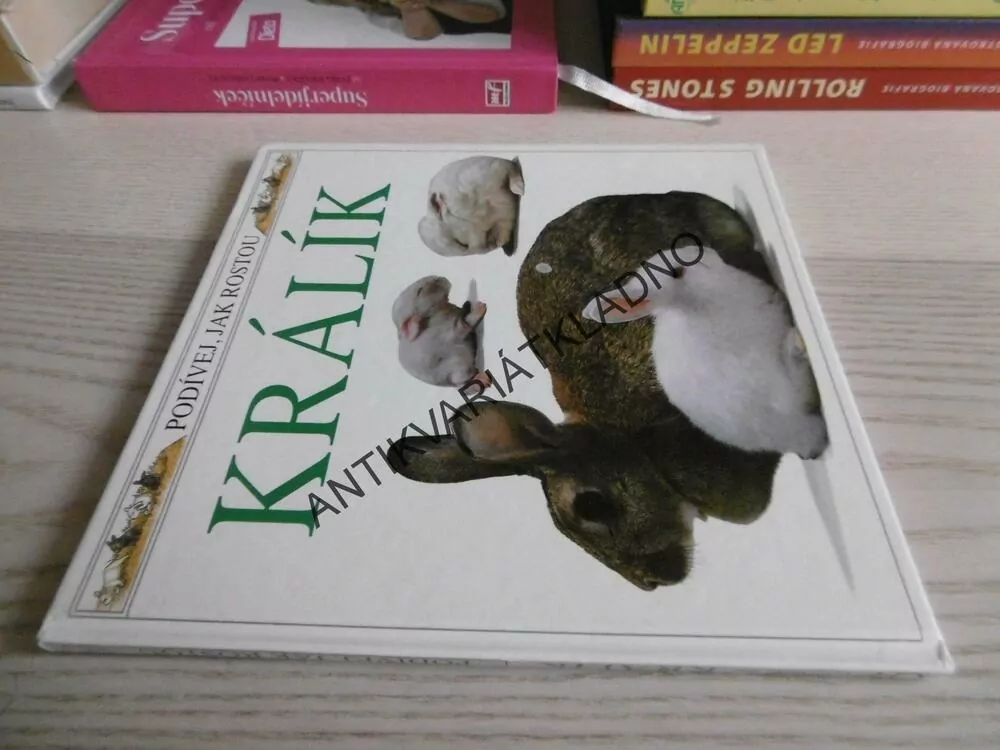 KRÁLÍK, **an