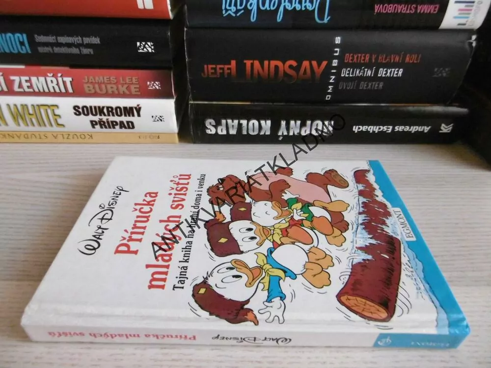 PŘÍRUČKA MLADÝCH SVIŠŤŮ, TAJNÁ KNIHA NA HRANÍ DOMA I VENKU, WALT DISNEY, **an