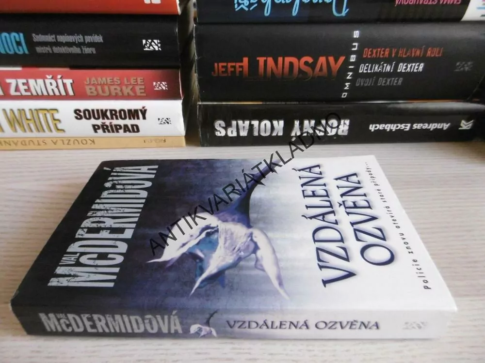 VZDÁLENÁ OZVĚNA, VAL MCDERMIDOVÁ, **an