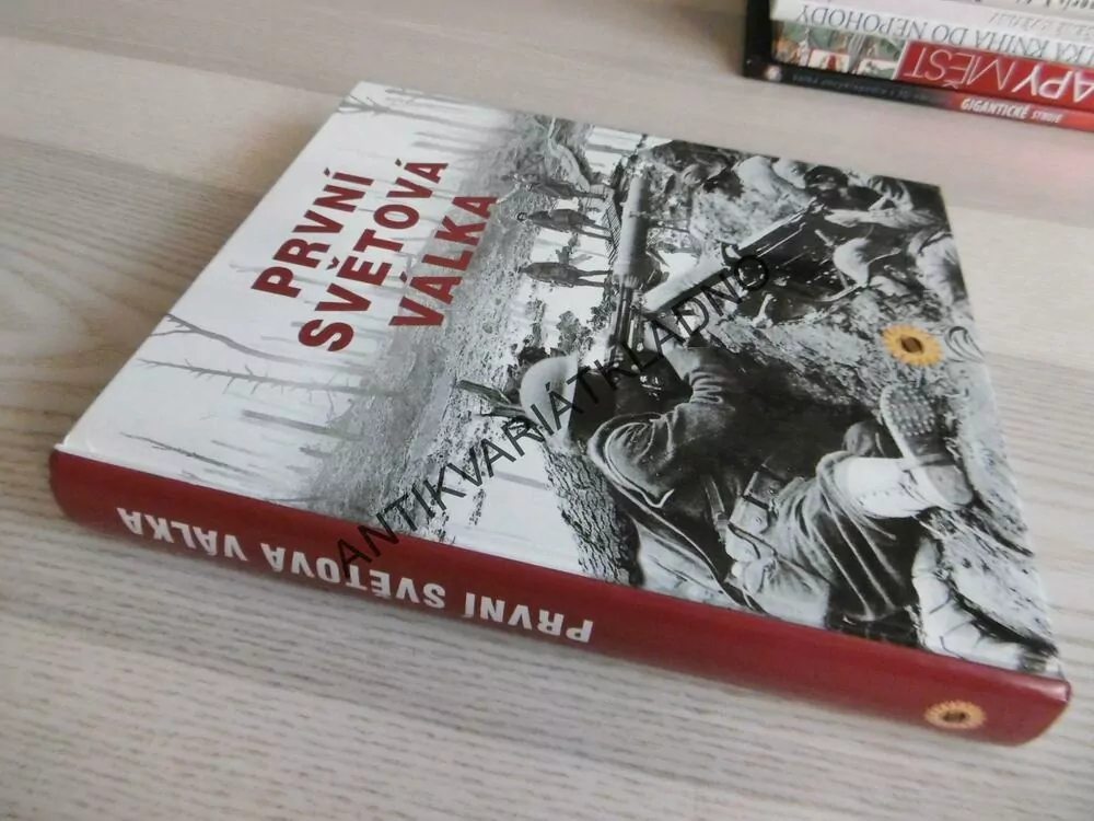 PRVNÍ SVĚTOVÁ VÁLKA, 2010, **an