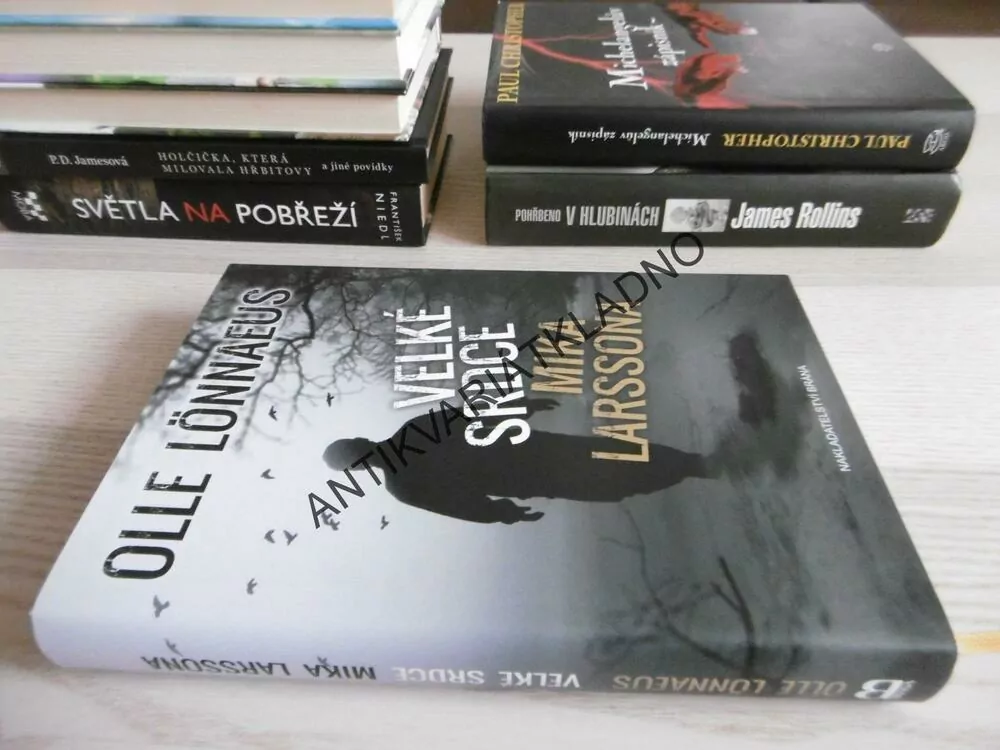 VELKÉ SRDCE MIKA LARSSONA, OLLE LÖNNAEUS, **an