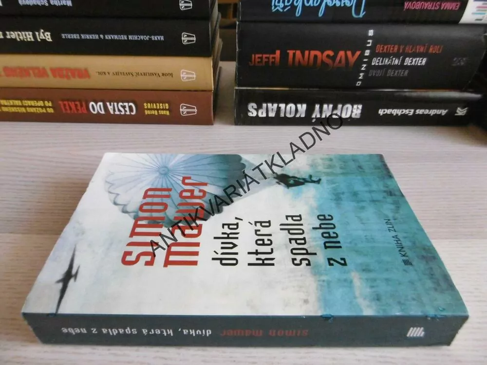 DÍVKA, KTERÁ SPADLA Z NEBE, SIMON MAWER, **an