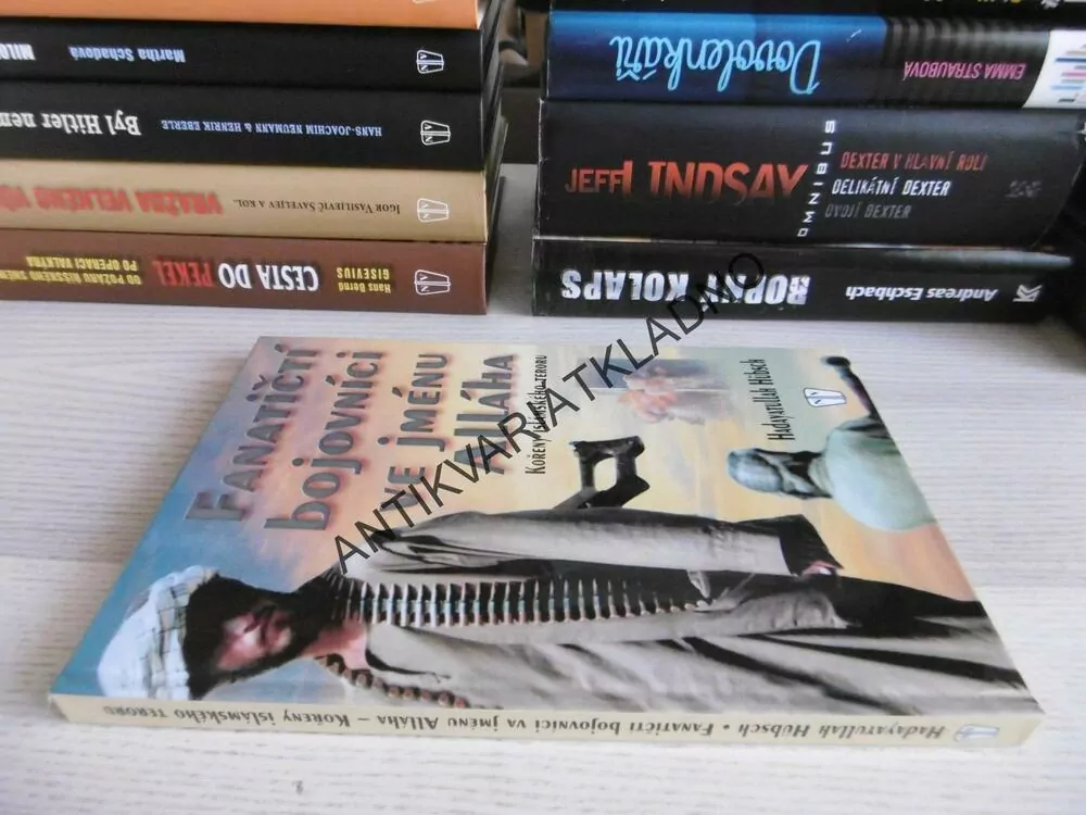 FANATIČTÍ BOJOVNÍCI VE JMÉNU ALLÁHA, KOŘENY ISLÁMSKÉHO TERORU, HADAYATULLAH, **an