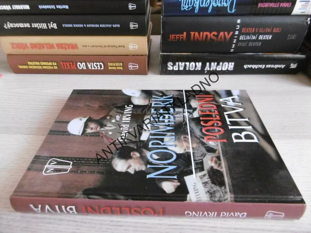 NORIMBERK, POSLEDNÍ BITVA, DAVID IRVING, **an