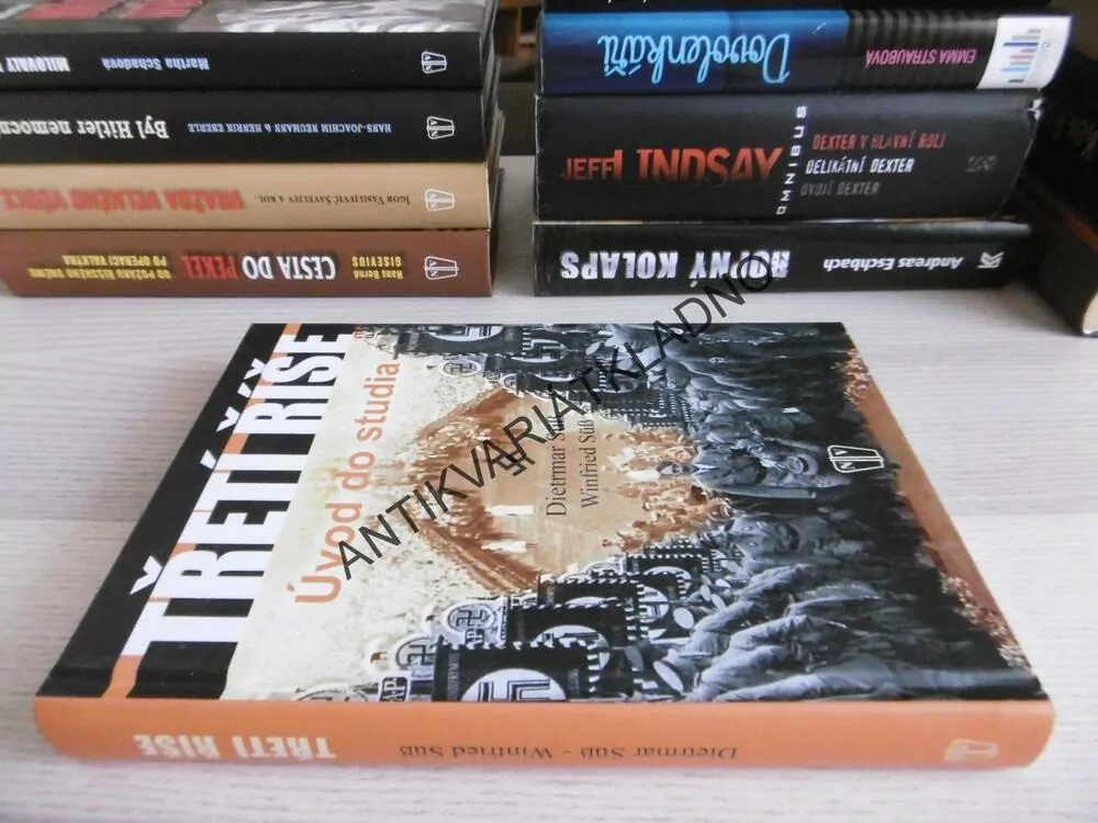 TŘETÍ ŘÍŠE, ÚVOD DO STUDIA, DIETRMAR SÜS, **an