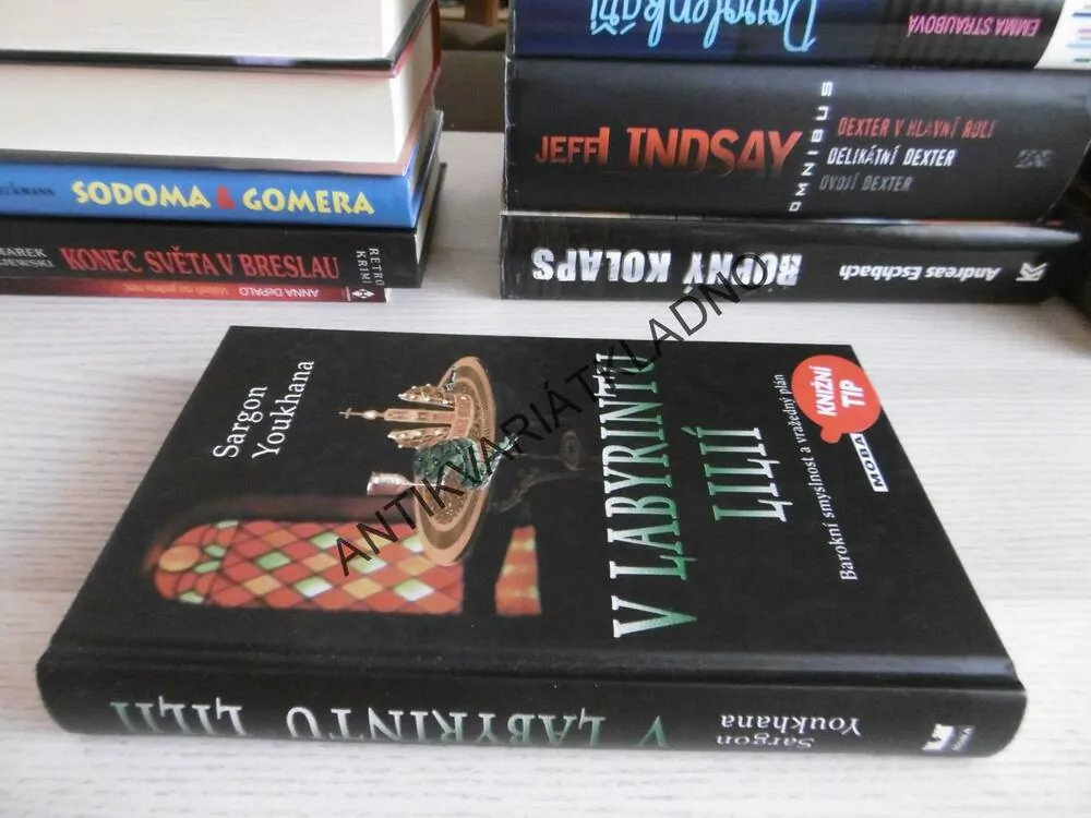V LABYRINTU LILIÍ, SARGON YOUKHANA, **an