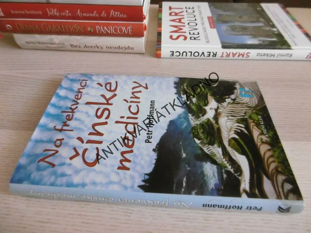 NA FREKVENCI ČÍNSKÉ MEDICÍNY, PETR HOFFMANN, **an