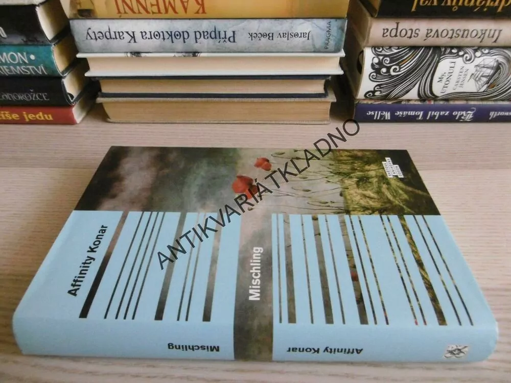 MISCHLING, AFFINITY KONAR, **an